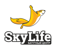 Синеокова А.Ю. (Батутный центр Skylife)