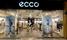 ECCO (   )