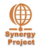 Synergy Project
