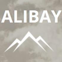 Alibay International