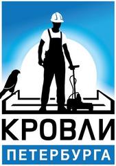 Кровли Петербурга