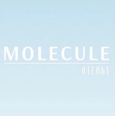 Ателье Molecule