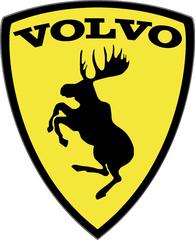 Техцентр Volvo-Svetlov
