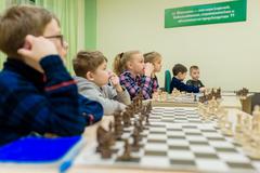 Шахматная школа Elsadchess