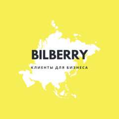 BILBERRY DIGITAL AGENCY