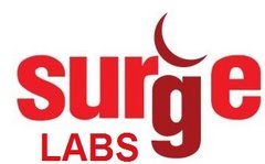 Surge Labs