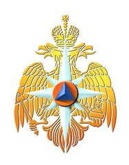 Специальный отдел № 1 ФГКУ Специальное управление ФПС № 50 МЧС России