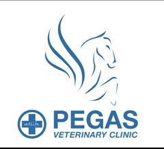 Ветеринарная клиника Пегас