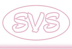 SVS Клиника имени В.М. Савинова