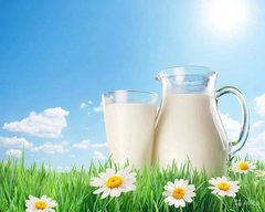 Сельскохозяйственный Потребительский Кооператив Молочный край