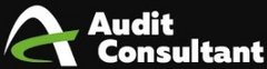 Audit-Consultant