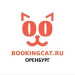 Зоогостиница BookingCat (г. Оренбург)