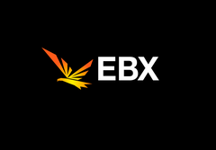 “Eurasia Blockchain Fintech Group Limited”