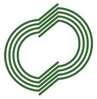 Дисиэм-Групп