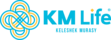Компания по страхованию жизни «KM Life»