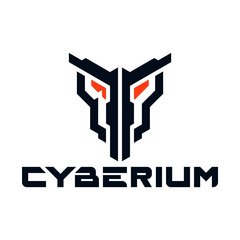 Cyberium Esports Academy