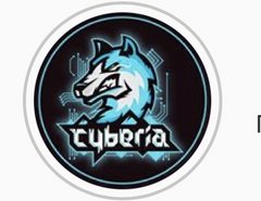Киберспортивный холдинг Cyberia