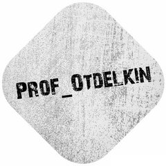 Prof_Otdelkin