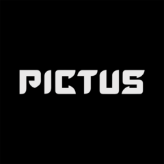 Pictus Media
