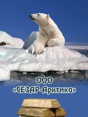 СЕЗАР-Арктика