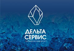 Дельта Сервис