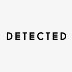 Detected Dress