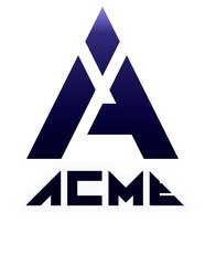 Acme investition