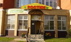 МБУ Центр творчества и досуга Ростки Муниципального Округа Куркино