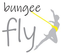 Bungee Fly