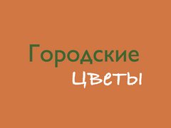 Городские цветы