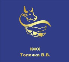 Глава КФХ Толочка Василий Васильевич
