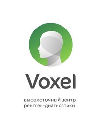 Voxel (ООО Аксиома-31)