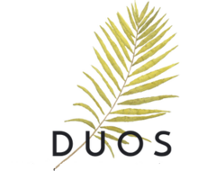 DUOS Recruitment (ООО Финансы и Развитие)