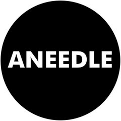 Aneedle_store