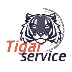 СТО Tigar Service