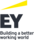 EY (Ernst & Young)