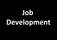 Job development (   )