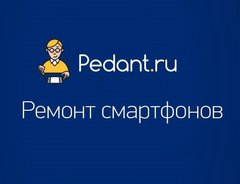 Pedant.ru (ИП Сатдарова Анна Геннадьевна)