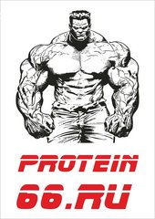 Протеин66