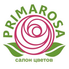 Новиков Андрей Викторович
