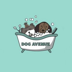 Dog avenue