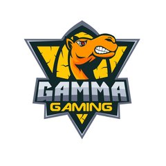Компьютерный клуб Gamma Gaming