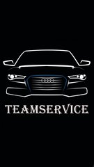 TeamService