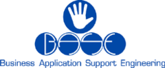 B.A.S.E. ( Business Application Support Engineering )