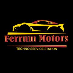 Ferrum Motors