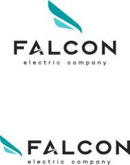 Falcon Electric Company (Фалкон Электрик Компани)