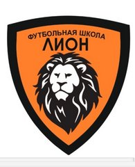Футбольная школа Лион