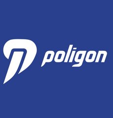 Полигон-ИТ