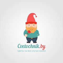 КсеДен трейд
