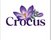 Crocus Family